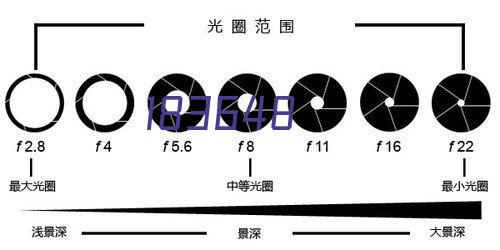 双十佳表彰大会