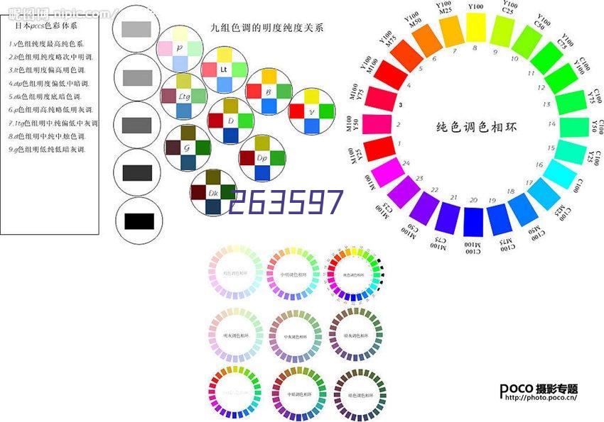 本赛季仅两位U21球员五大联赛+欧战参与25球：贝林厄姆&维尔茨