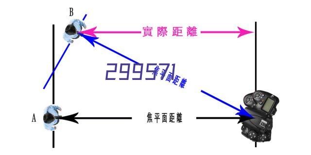 苏州鸿威训犬基地教你如何训练狗狗不咬人？