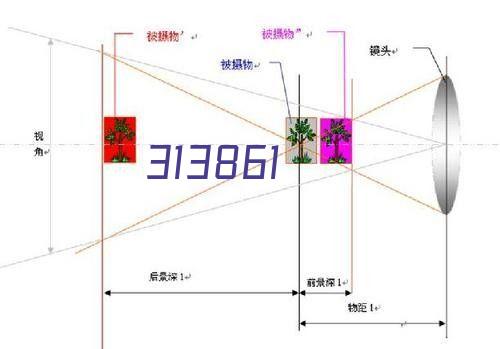 《蟹蟹尋寶奇遇》禁輔助全Boss戰打法演示