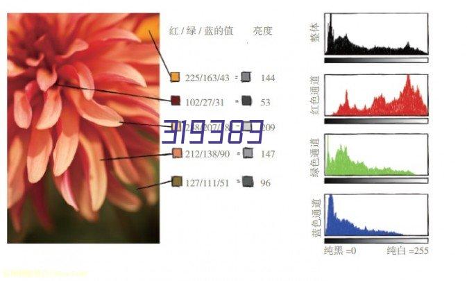 5kg开心果自动包装生产线