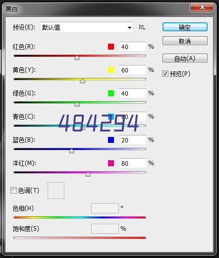 B2B品牌全球化营销专家