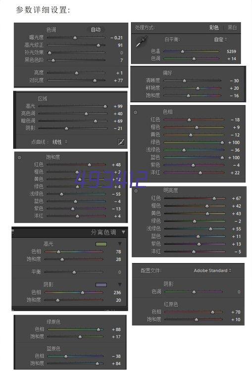 鼎盛精品珐琅彩五福临门花瓶（小号）