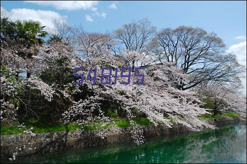 平利县卫生和计划生育局 平利卫生计生信息系统建设项目医院信息系统