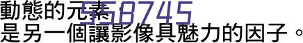 临河区康复医院组织全体