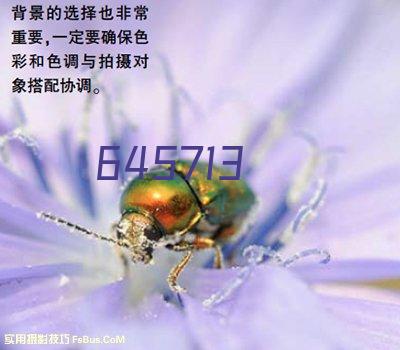 神州数码控股有限公司