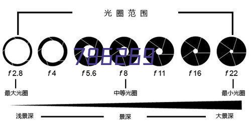 媒体合作