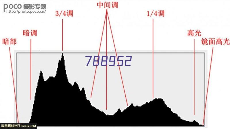 四川银皇食品有限责任公司