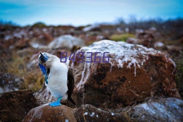 海宁 海盐 平湖100吨地磅 150吨地磅