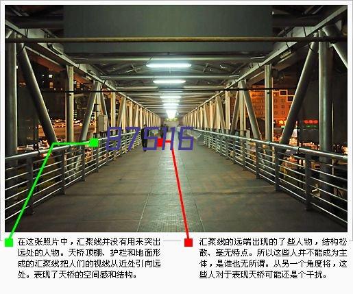 发现新闻社