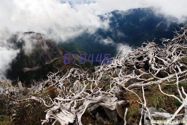 重庆不锈钢碟片卷帘门