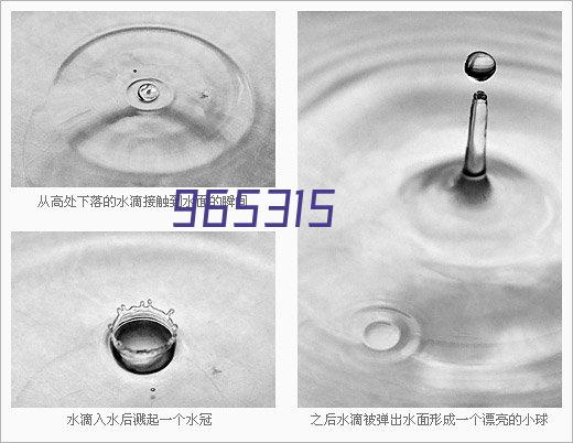 双室真空包装机 卤肉自动摆盖包装设备