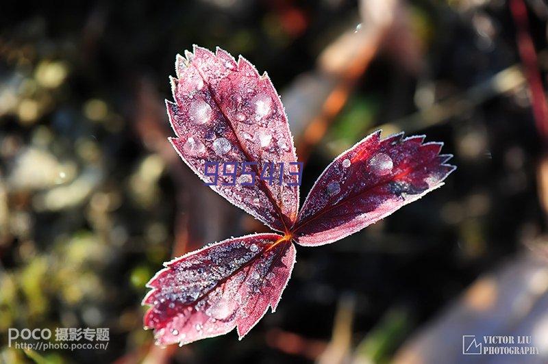 协会动态｜协会新增副会长单位会员-梧州市广福钢结构工程有限公司