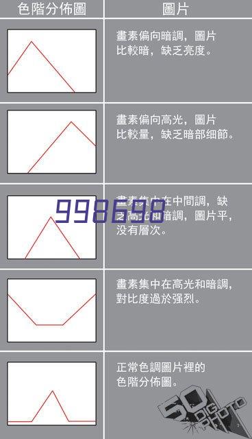 网络层次